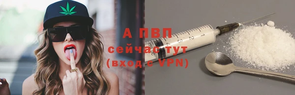 СК Волоколамск
