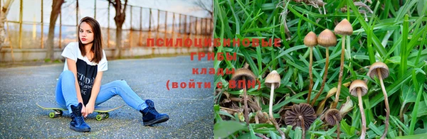 мяу мяу мука Волосово