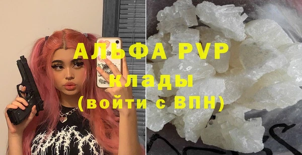 СК Волоколамск
