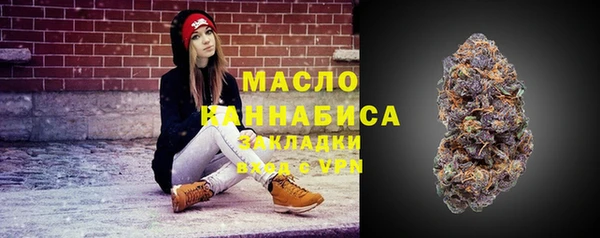 СК Волоколамск