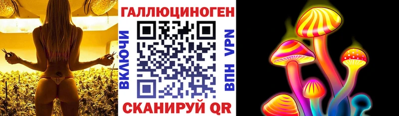 Галлюциногенные грибы MAGIC MUSHROOMS  MEGA маркетплейс  Вытегра 